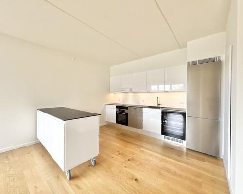 Indbydende 2 værelses lejlighed med skøn terrasse i Odense M