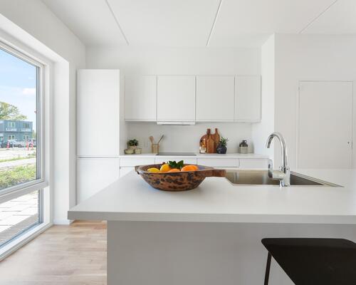 Moderne rækkehus tæt på skov og strand