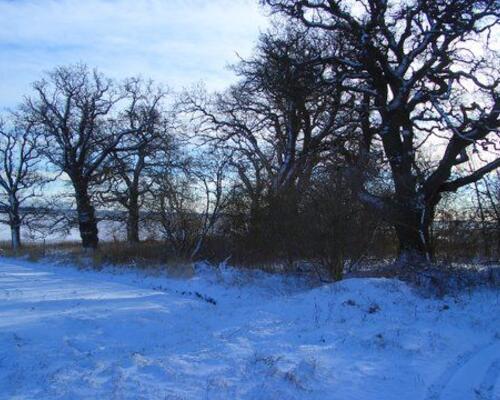 Markant bolig nær Vejlø Strand, med mulighed for stald og ridebane
