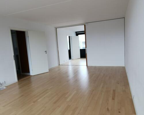 Stor delevenlig 4. værelses