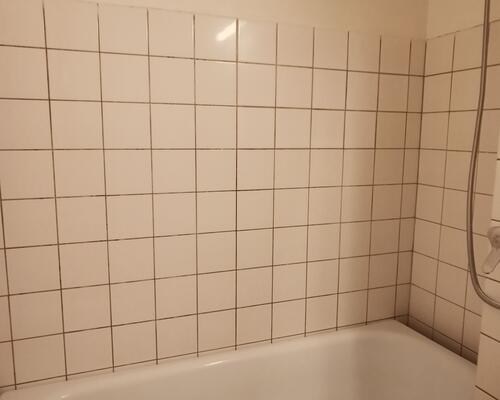 Stor delevenlig 4. værelses