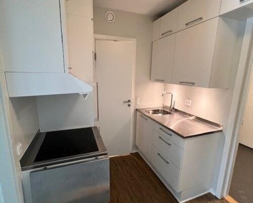 Skøn studiebolig i rolige omgivelser