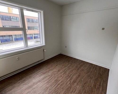 Skøn studiebolig i rolige omgivelser