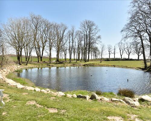 10 værelses hus i Vonge