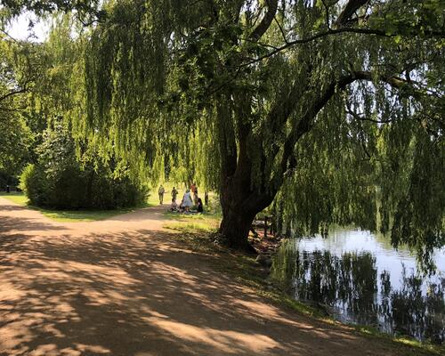 Indbydende stuelejlighed med lys og god atmosfære
