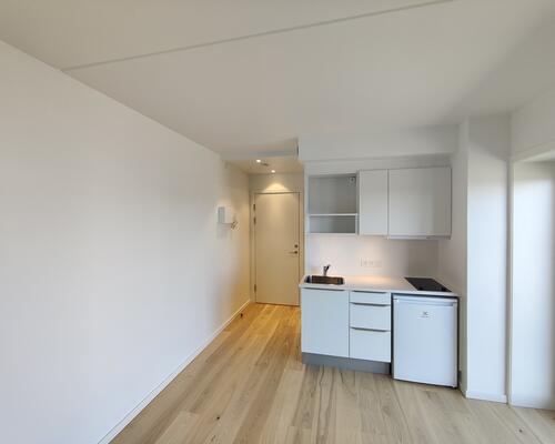 1 værelses lejlighed i Silkeborg