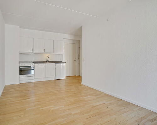 2 værelses lejlighed i København NV