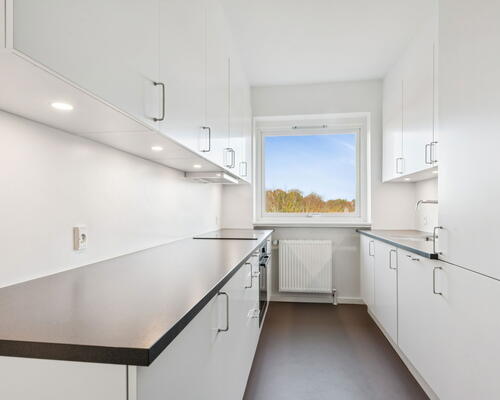 3 værelses lejlighed i Hillerød