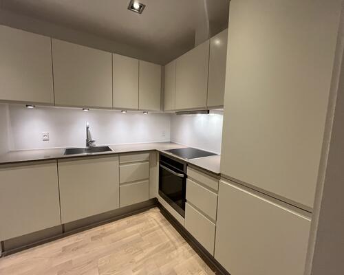 Rummelig 2-værelses lejlighed på Dæmningen!