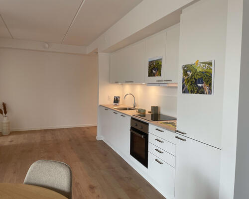 Rummelig 4-værelses lejlighed!