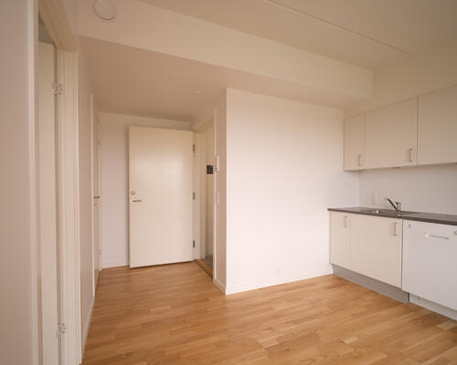 2-værelses lejlighed i stueetagen!