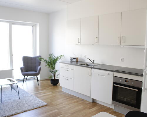 2-værelses lejlighed på 3. sal!