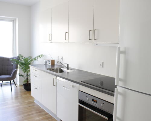 2-værelses lejlighed på 3. sal!