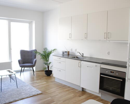 2-værelses lejlighed på 3. sal!