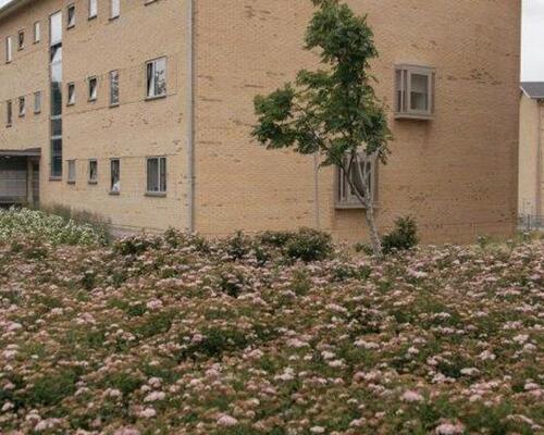 2 værelses lejlighed i Vejle