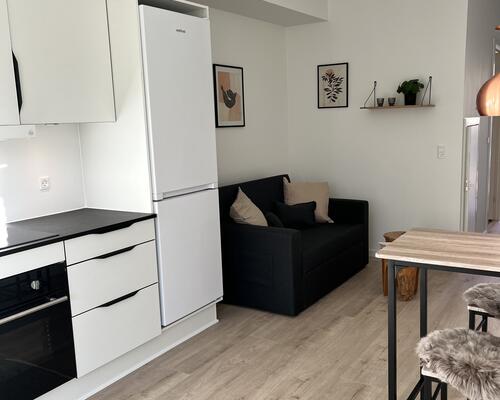 Stue lejlighed med lækker terrasse