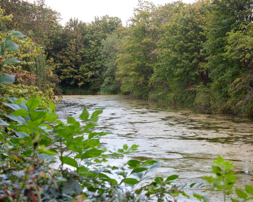 5 værelses lejlighed i København K