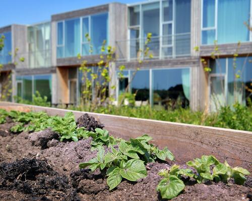 1-plans rækkehus i Nye