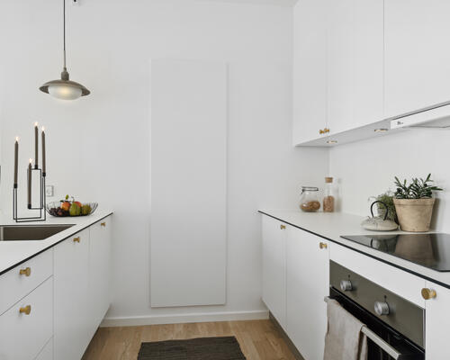 Svanemærkede lejeboliger i første række til vandet