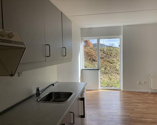 2. værelses lejlighed i naturrigt og fredeligt område