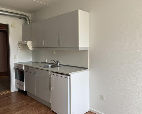 2. værelses lejlighed i naturrigt og fredeligt område