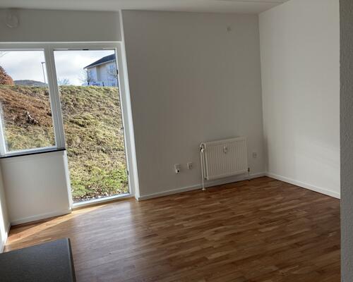 2. værelses lejlighed i naturrigt og fredeligt område