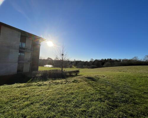 2. værelses lejlighed i naturrigt og fredeligt område