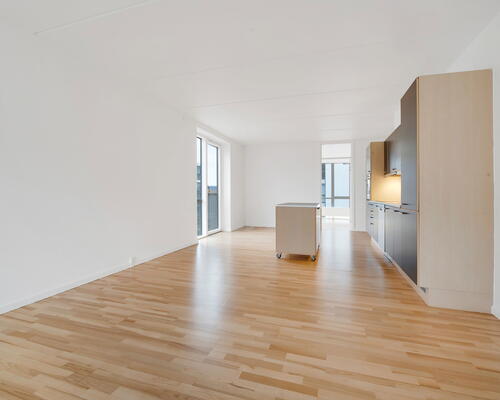 3 værelses lejlighed i København S