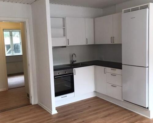 Lækker nyrenoveret 2-værelses lejlighed med nyt køkken