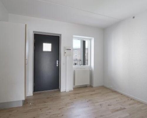 Studiebolig på havnen i Aalborg med mulighed for husdyr