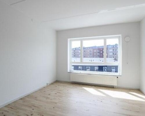 Studiebolig på havnen i Aalborg med mulighed for husdyr