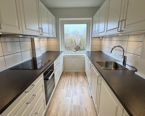 Charmerende nyrenoveret lejlighed i Charlottenlund (Expats)