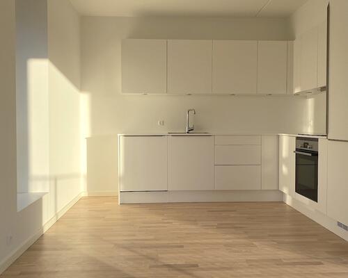 Nyere lys lejlighed i populært område