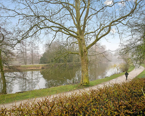 2 værelses lejlighed i Odense C