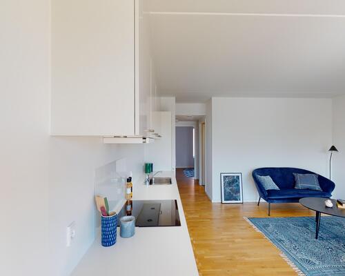 stor 2-værelses med solrig altan