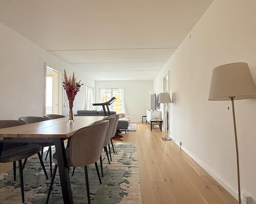 Skøn rummelig lejlighed ved Langelinie