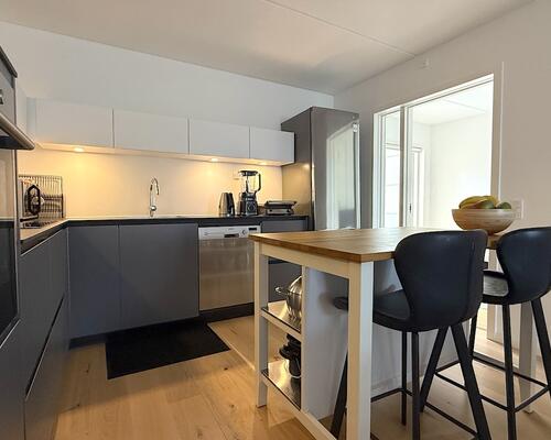 Skøn rummelig lejlighed ved Langelinie