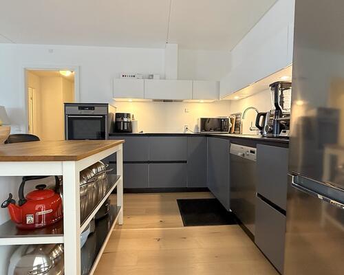 Skøn rummelig lejlighed ved Langelinie