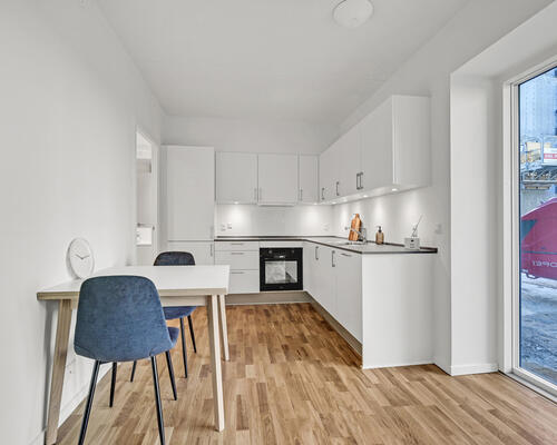 2-værelses lejlighed i stueetagen