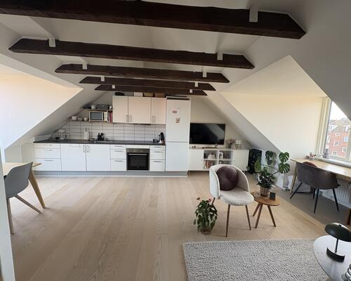 Lys og charmerende 2-værelses med stor solrig terrasse