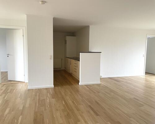 Stort rækkehus med have