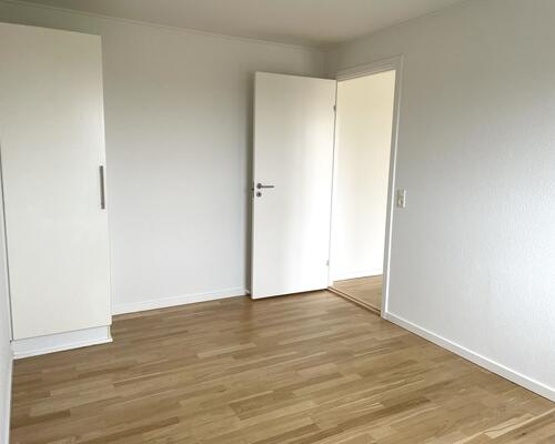 Stort rækkehus med have