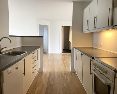 Stort rækkehus med have