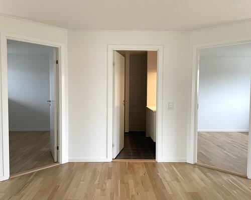 Stort rækkehus med have