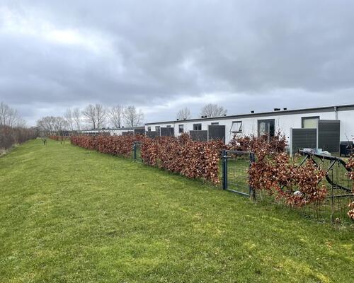 Stort rækkehus med have