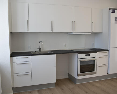 2 værelses lejlighed i Viborg