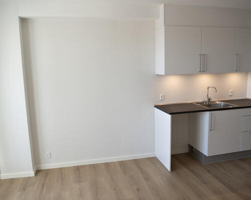 2 værelses lejlighed i Viborg