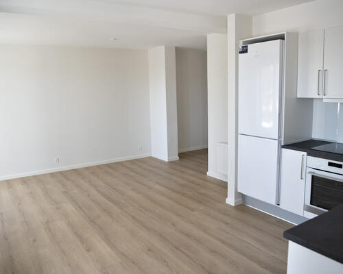 2 værelses lejlighed i Viborg