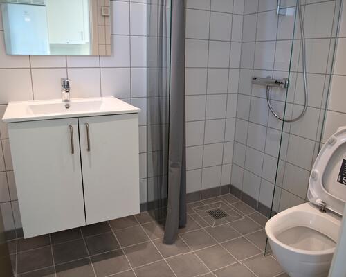 1 værelses lejlighed i Viborg