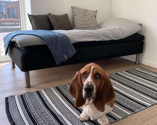 1 værelses lejlighed i Viborg